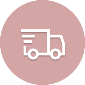 icona spedizione veloce e garantita Abiefilo